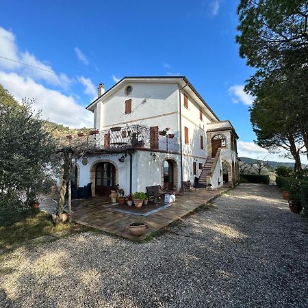 Casa Vacanze Cristina - Holiday House Leilighet Ripatransone Eksteriør bilde