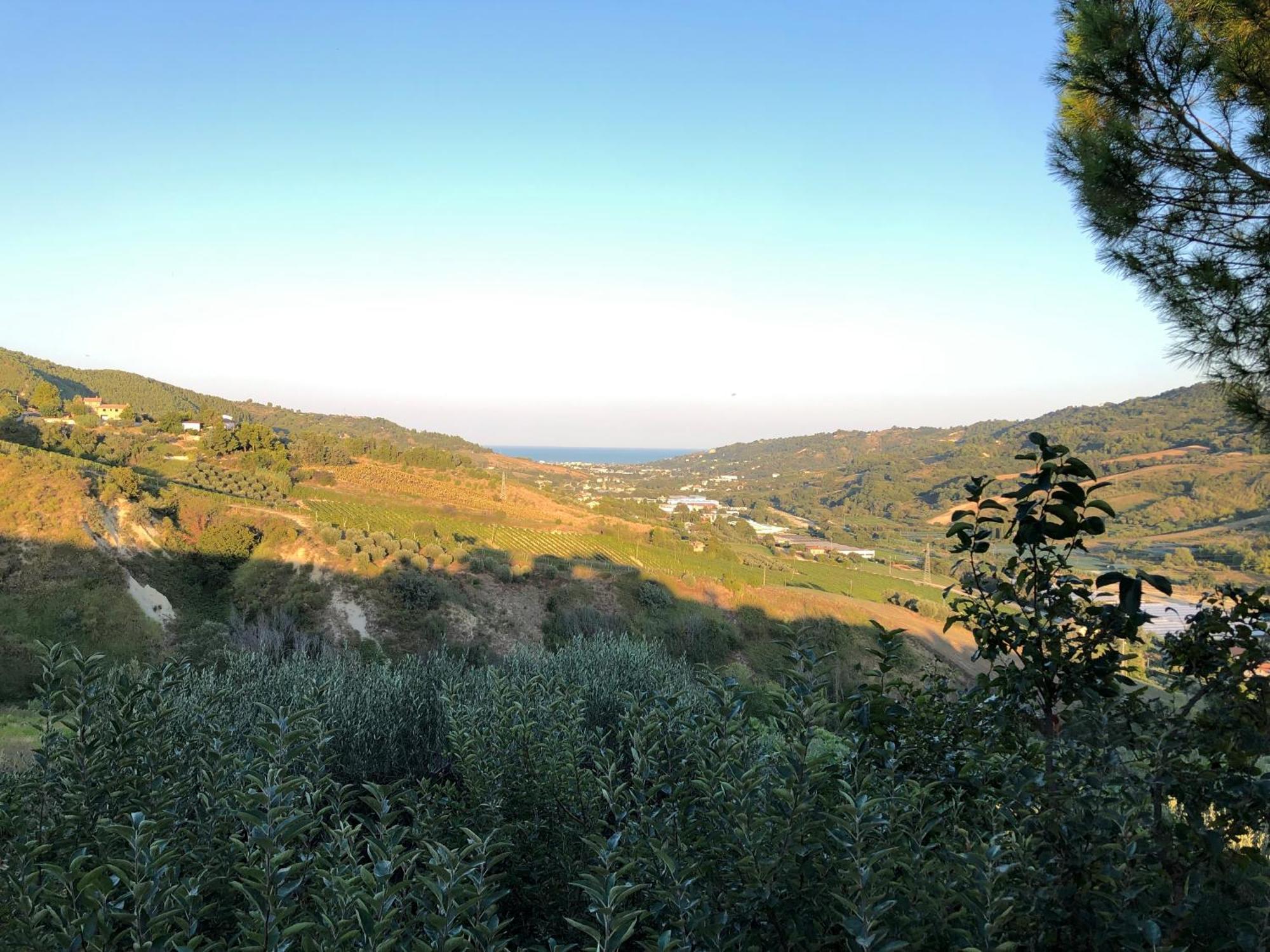 Casa Vacanze Cristina - Holiday House Leilighet Ripatransone Eksteriør bilde