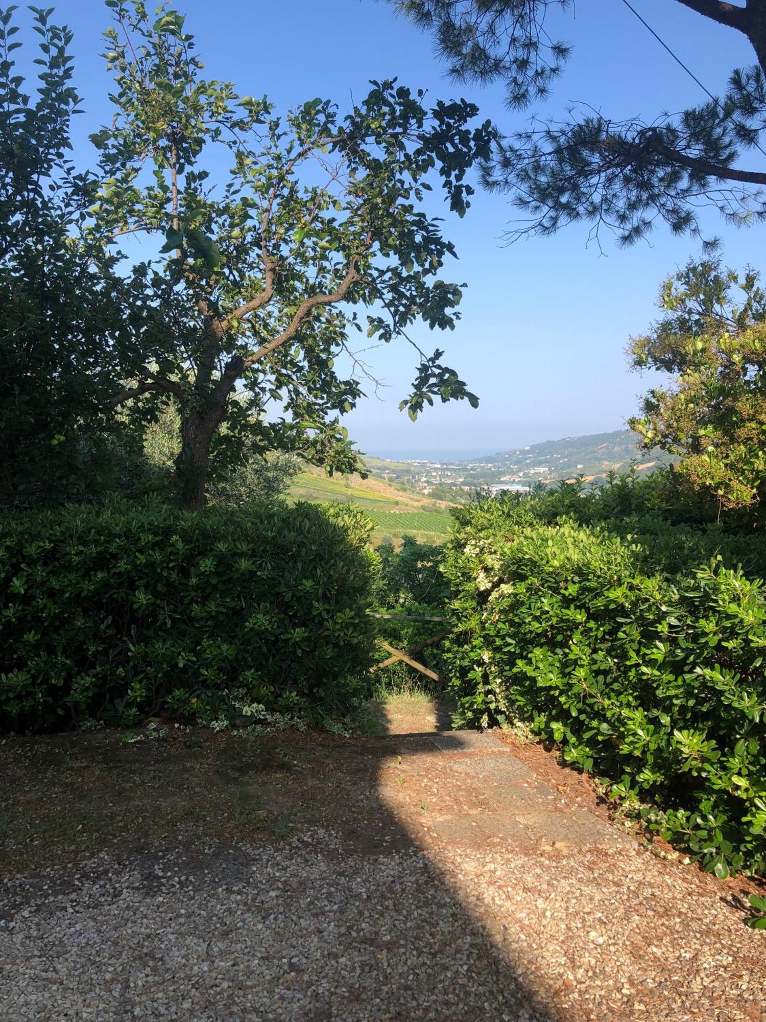 Casa Vacanze Cristina - Holiday House Leilighet Ripatransone Eksteriør bilde
